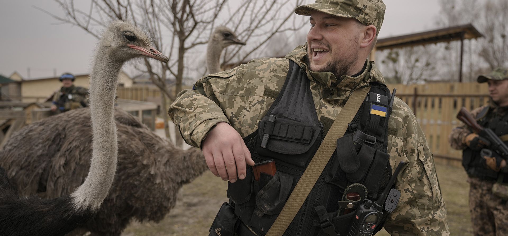 Un militar ucraniano intenta evitar ser mordido por un avestruz en un zoológico privado gravemente dañado mientras soldados y voluntarios intentaban evacuar a los animales sobrevivientes a un lugar seguro en el pueblo de Yasnohorodka, en las afueras de Kiev, Ucrania, el miércoles 30 de marzo de 2022.