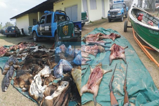 Detenidos y secuestro de especies silvestres faenadas en San Javier