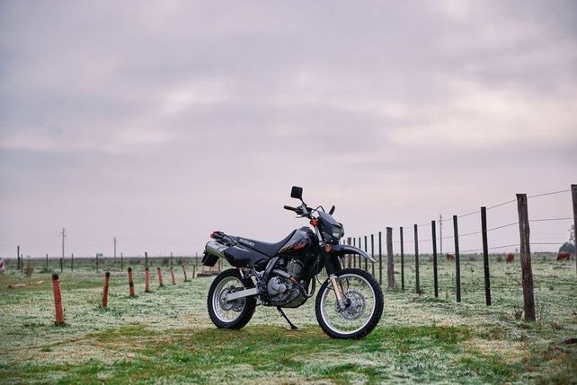 La DR 650 est&aacute; disponible y es la l&iacute;der en su segmento.