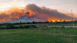 Trabajaron dotaciones de bomberos de localidades cercanas, con el apoyo de la provincia. Fueron 1.600 las hectáreas afectadas por el incendio