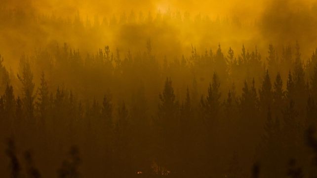 Las imágenes más estremecedoras de los incendios forestales en Chile