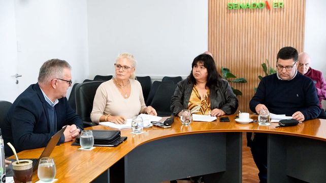 Senadores escucharon al ministro de Planeamiento e Infraestructura Hernán Jacob