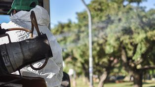 Dónde se realizarán las fumigaciones esta semana