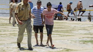 Rosario: se registraron al menos otros tres casos de ataques de palometas