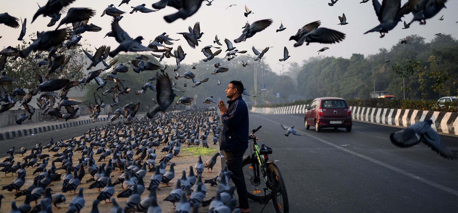 Un hombre reza a lo largo de un camino mientras las palomas pasan volando en una mañana llena de niebla. La 23ª cumbre anual India-Rusia comienza el jueves, Delhi, India. Fotografía: Manan Vatsyayana/AFP/Getty Images Un hombre reza a lo largo de un camino mientras las palomas pasan volando en una mañana llena de niebla. La 23ª cumbre anual India-Rusia comienza el jueves, Delhi, India. Fotografía: Manan Vatsyayana/AFP/Getty Images