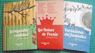 Leer a los rosarinos