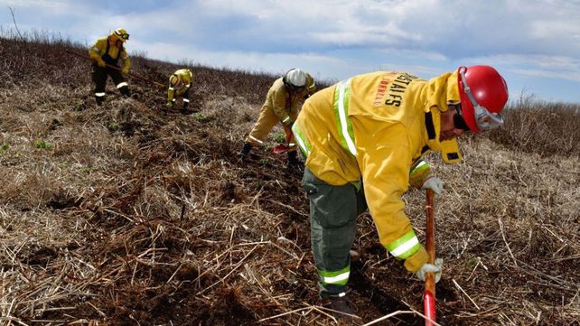 Mientras no haya uno en cana no van a parar los incendios en las islas
