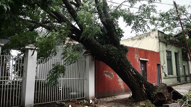 Expertos de Conicet analizaron el fenómeno del clima sufrido el fin de semana en Amba