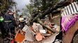 Cayó un árbol sobre dos casas humildes en Villa Banana: dos niños hospitalizados