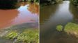 Las lluvias intensas generan pulsos tóxicos en afluentes del río Paraná
