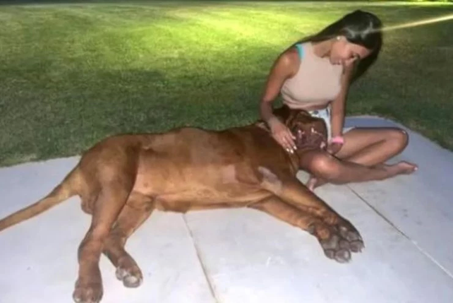 Antonela Rocuzzo y el gigante Hulk
