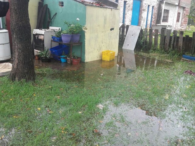 En la costa y en el norte de la ciudad, muchas viviendas sufren por las lluvias