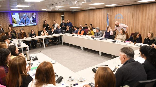 Cámara de Diputados debate la emergencia pediátrica y el financiamiento a universidades