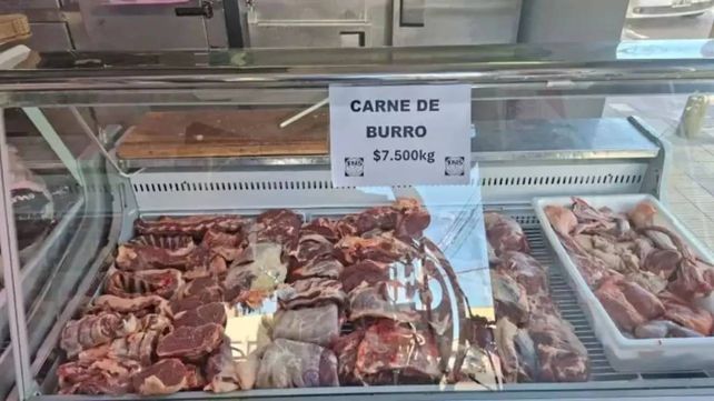 La carne de burro en el mostraro. Según los productores es difícil de diferenciar
