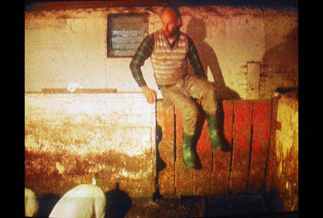 Pickton mató a las mujeres en su granja de cerdos y dio de comer parte de los restos a los animales.
