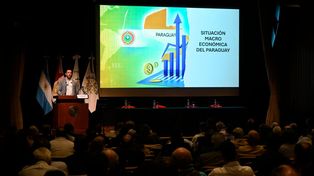 En Paraguay la principal innovación en ganadería fue la hibridación