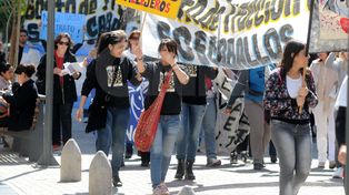 Organizaciones proteccionistas marcharán por los animales