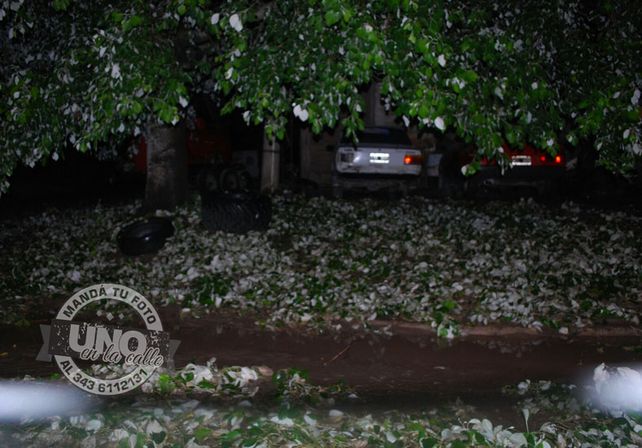 Temporal de granizo y lluvia golpeó a la localidad de Alcaraz