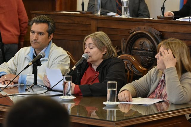 Severos cuestionamientos. La Asamblea de Vecinos rechazó la iniciativa.