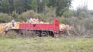 Un camión volcó su acoplado cargado con citrus en la autovía 14 tras cortarse la lanza del acoplado&nbsp;