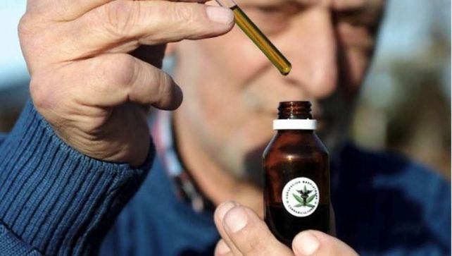 Las gotas de extracto de cannabis comenzaron a ser usadas en Estados Unidos en animales y personas.