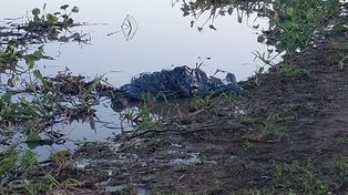 La zona del arroyo Ubajay, en San José del Rincón, donde fue hallado un cadáver en avanzado estado de descomposición..