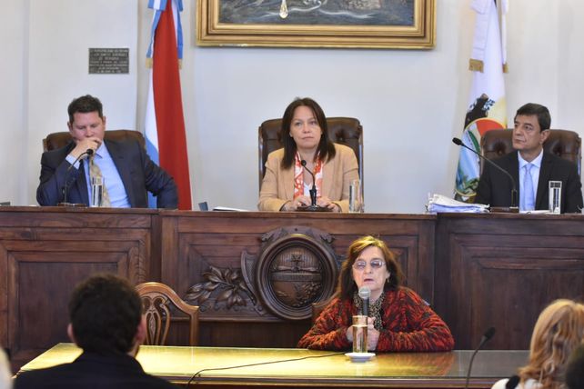 Cara a cara. Glauser criticó directamente al concejal Gainza.&nbsp;