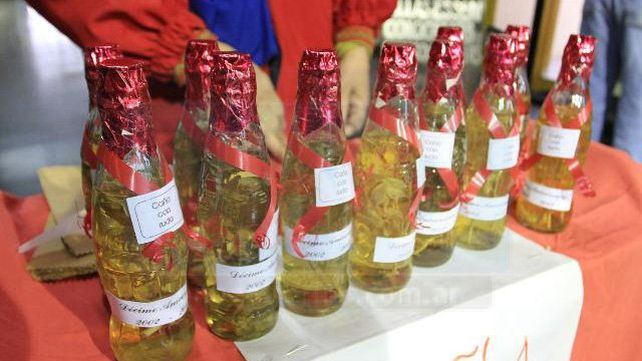 Por qué se debe tomar caña con ruda en ayunas cada 1º de agosto