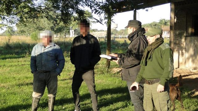Rescataron en Vera un caballo de carrera robado en Entre Ríos