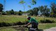 Plan de Arbolado Urbano: la Municipalidad de Paraná realizó una nueva plantación en barrio Cuarteles