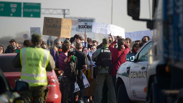 Organizaciones ambientalistas en lucha contra la devastación del valioso sistema de humedales de la región.