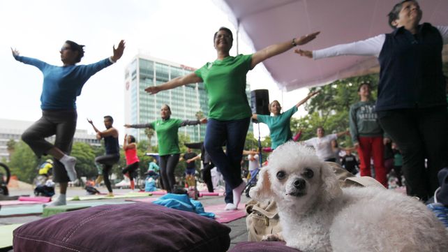 La India  celebra el Día Internacional del Yoga