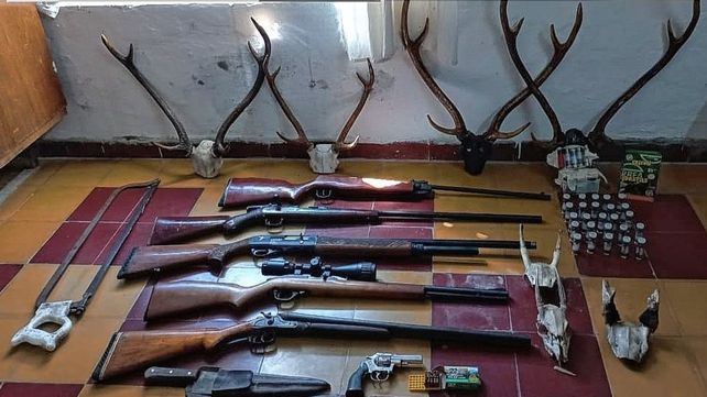 Por abigeato y caza, secuestraron armas y guampas de ciervo
