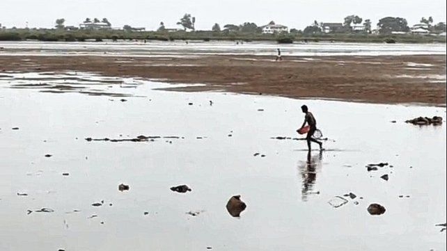 Autoridad de la ONU advierte sobre un futuro aterrador a causa del cambio climático.&nbsp; Pidió pensar medidas a corto plazo.&nbsp;