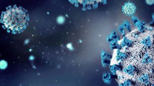 Norovirus, el otro virus que preocupa a Gran Bretaña