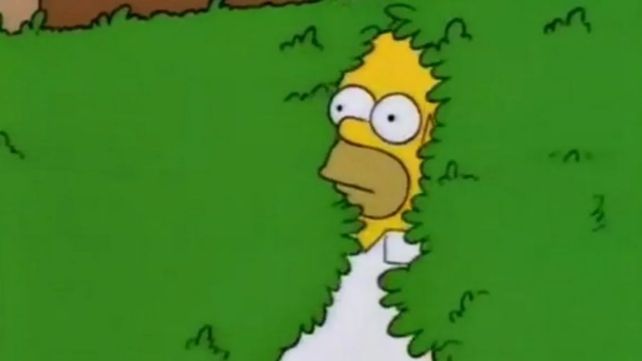 Una reconocida marca de zapatillas lanzará un modelo con un meme de Los Simpsons en el diseño.