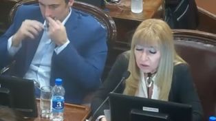 Un diputado socialista de Entre Ríos negó haber consumido droga en plena sesión