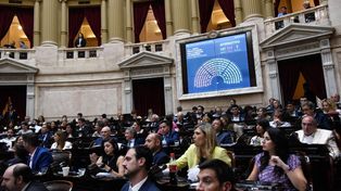 La votación en particular de la ley ómnibus reprodujo las diferencias entre los bloques políticos.&nbsp;