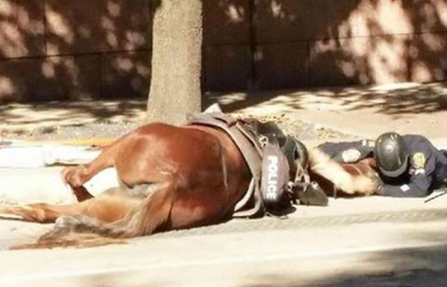 La imagen del policía acariciando a Charlotte en sus últimos momentos se hizo viral.