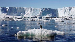 EN VIVO: el Senado debate los cambios a la Ley de Glaciares
