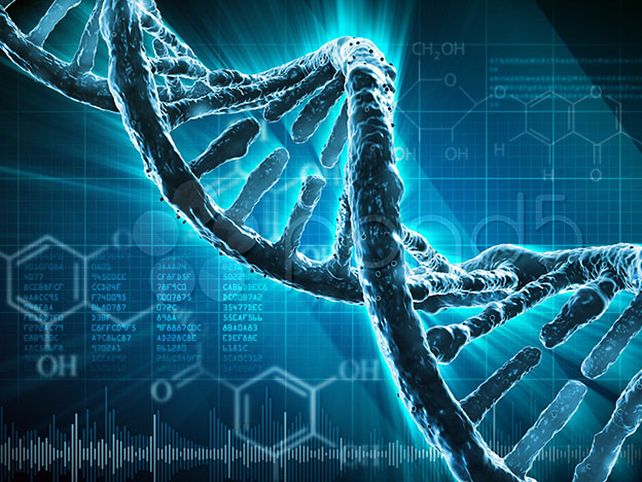 El ADN borra su disco duro en cada generación