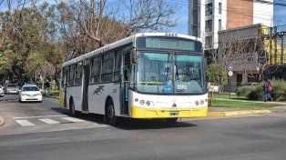 El servicio de colectivos se reducirá 30% desde el lunes: La Municipalidad está acéfala y debe $150.000.000&nbsp;