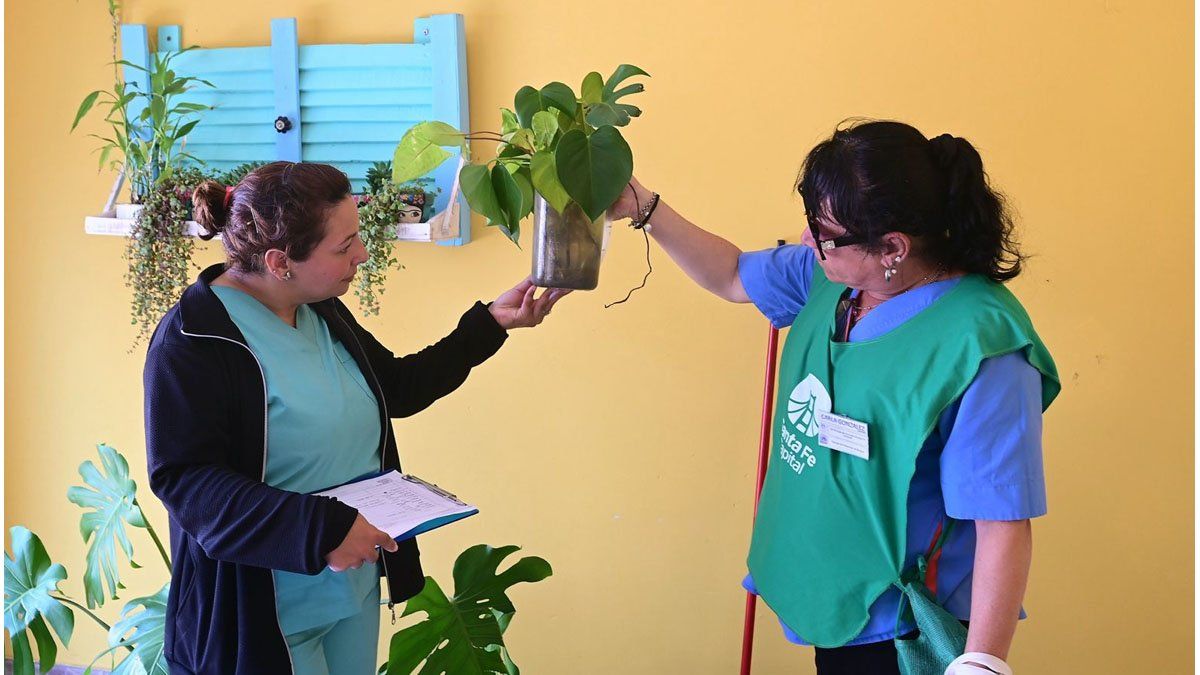 Dengue: por nuevos casos confirmados en Coronel Dorrego y María Selva ...