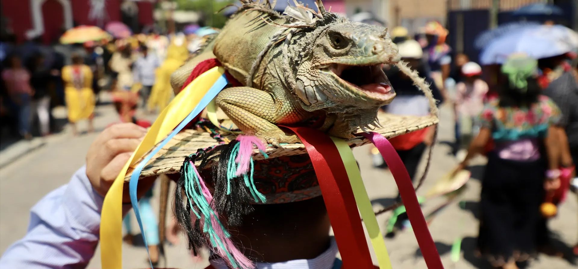 Suchiapa, México. Los lugareños realizan el Calalá, una danza de origen prehispánico, que se utiliza para ahuyentar el mal y pedir buenas cosechas durante las festividades del Corpus Christi. Fotografía: Jacob Garcia/Agencia Anadolu/Getty Images Suchiapa, México. Los lugareños realizan el Calalá, una danza de origen prehispánico, que se utiliza para ahuyentar el mal y pedir buenas cosechas durante las festividades del Corpus Christi. Fotografía: Jacob Garcia/Agencia Anadolu/Getty Images