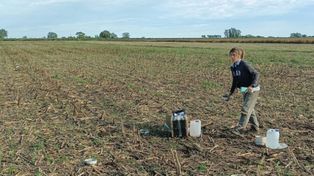 Intensificación agrícola: cómo mejorar los suelos con más cultivos