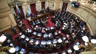 La Libertad Avanza apostó a alianzas con gobernadores para aumentar su representación en la Cámara alta.&nbsp;