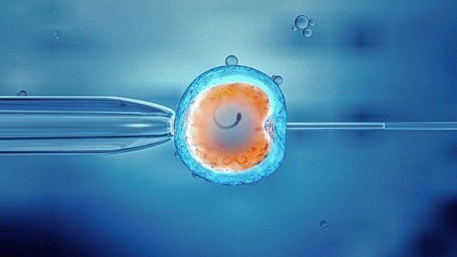 Tuvieron un hijo por fertilización in vitro y les implantaron el embrión de otra pareja