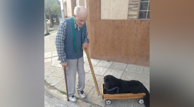 Un abuelo le fabricó un carrito a su perro que no puede caminar
