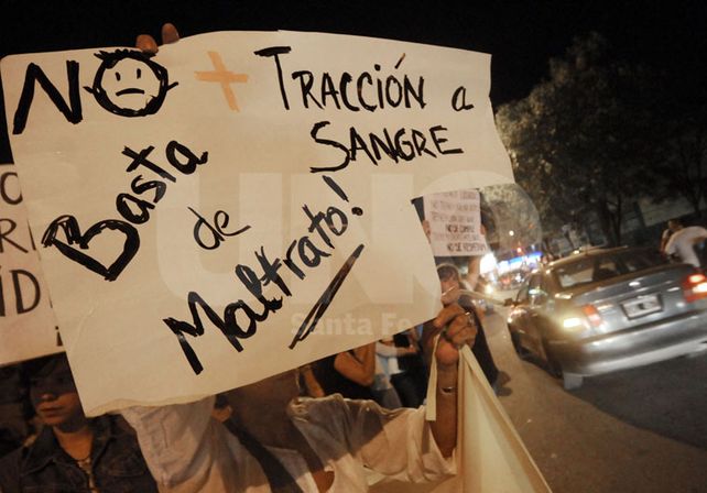 Presentarán este miércoles una experiencia exitosa de erradicación de tracción a sangre