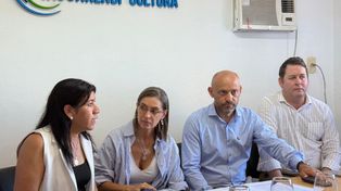 El ministro de Desarrollo Productivo, Gustavo Puccini, encabezó la presentación de los resultados de la auditoría.